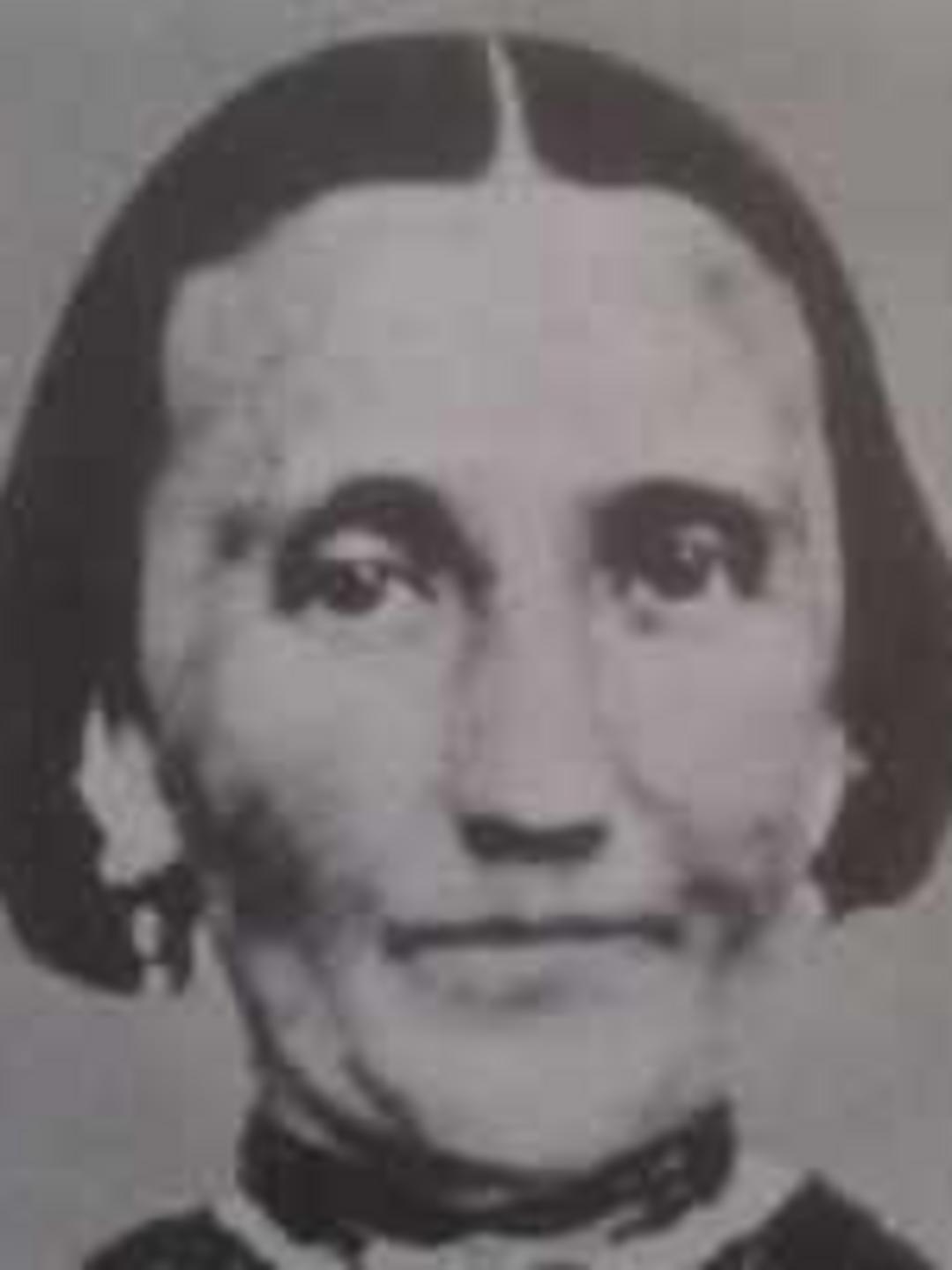 Phoebe Davies (1828 - 1872) Profile